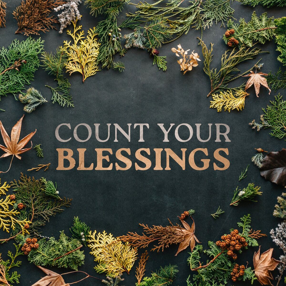 Album cover of Count Your Blessings