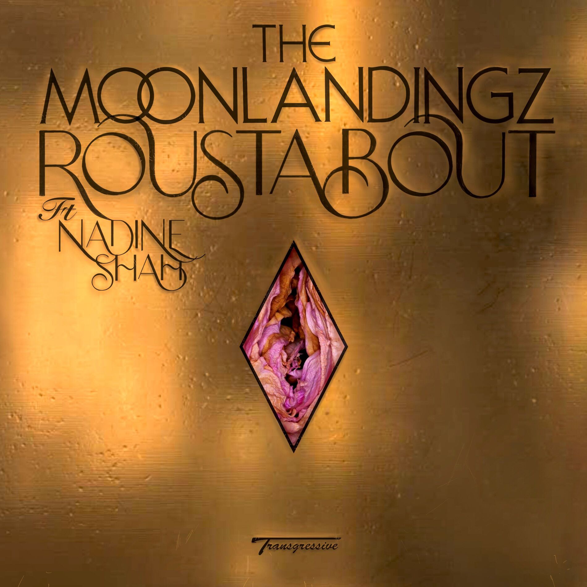 Album cover of Roustabout