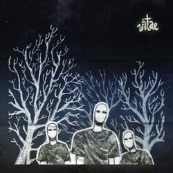 Cover of Vitae