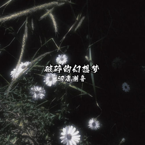 破碎的幻想梦