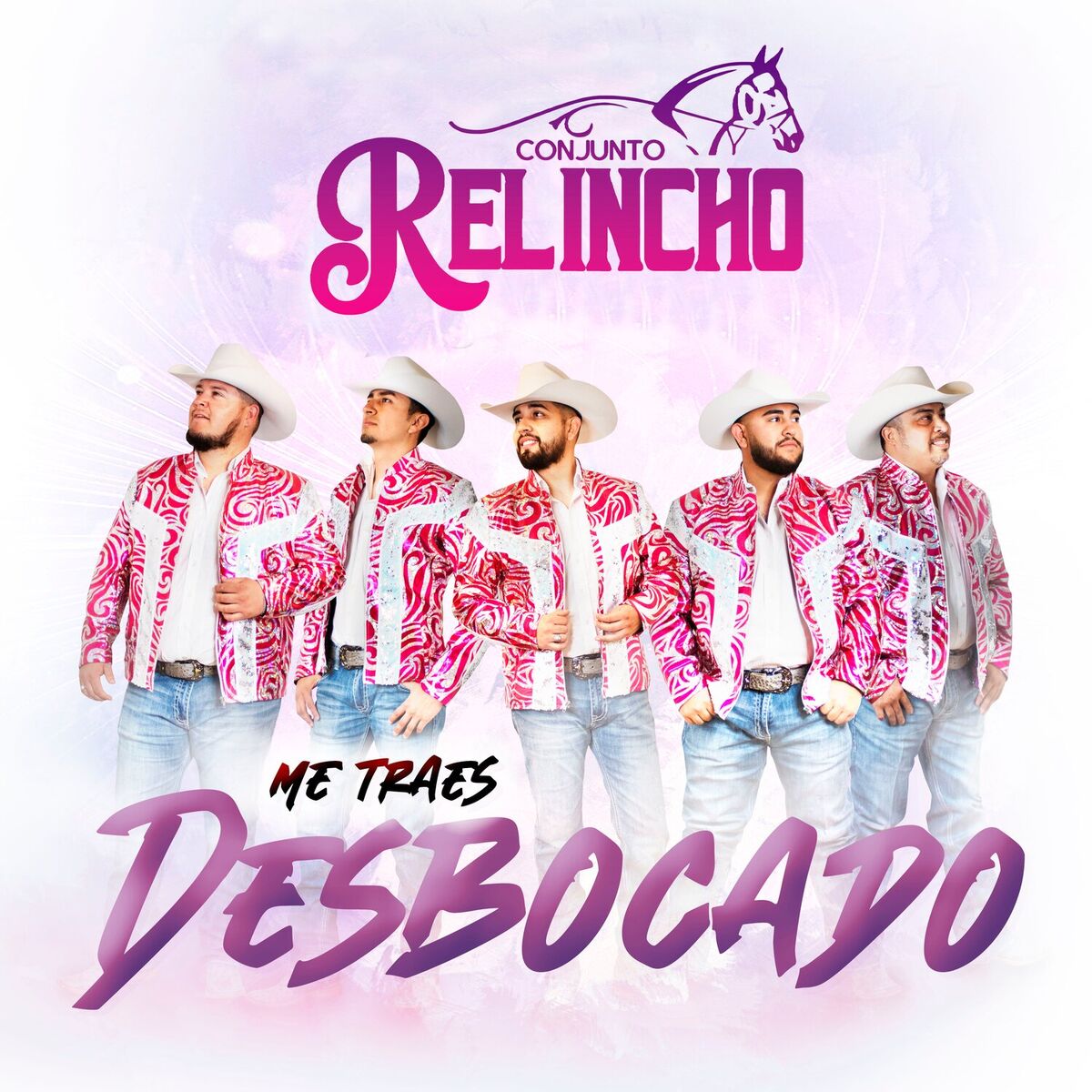 Album cover of Serías Mi Felicidad