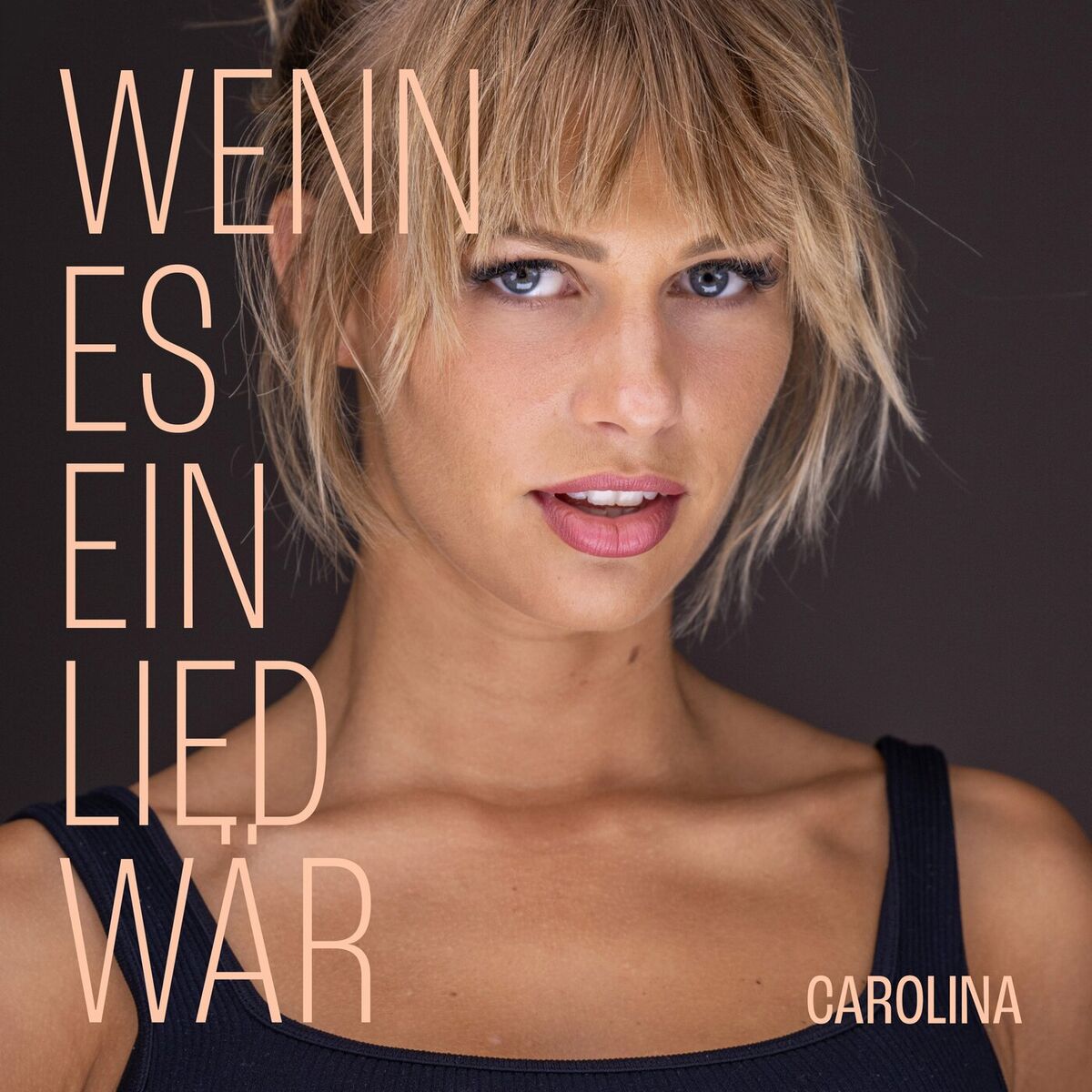 Album cover of Wenn es ein Lied wär