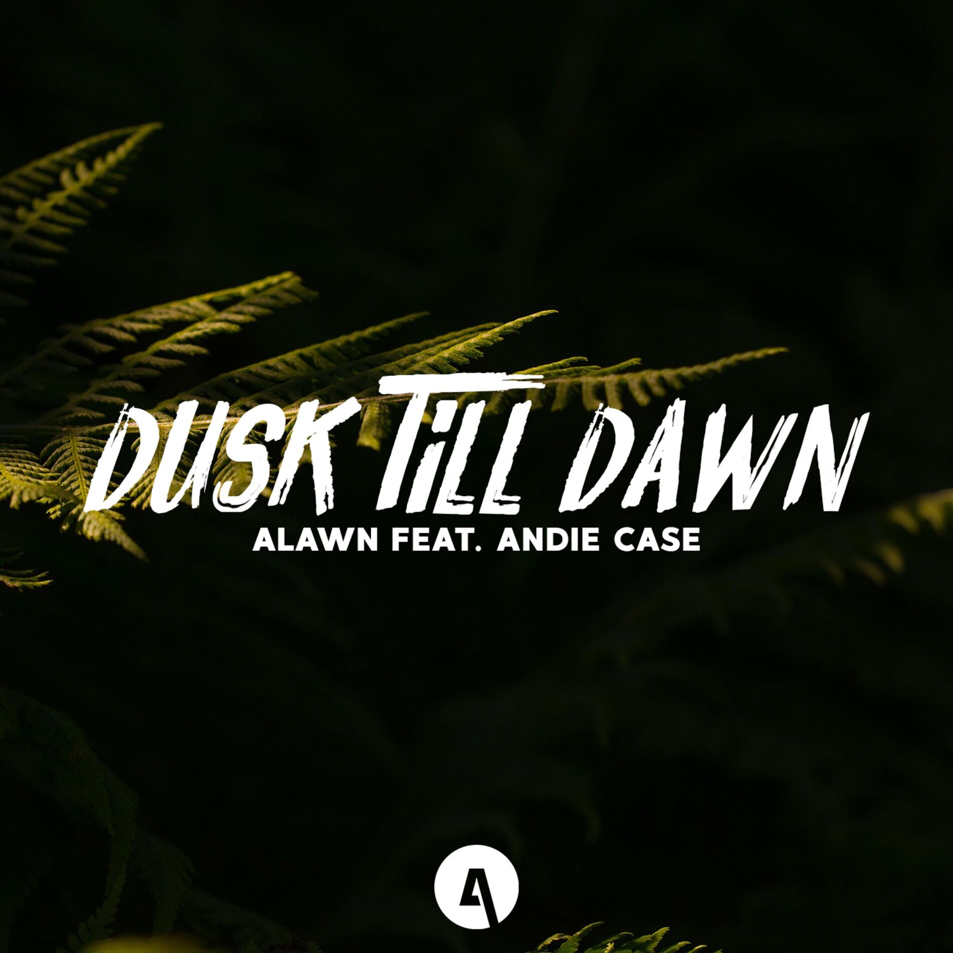 Album cover of Dusk Till Dawn (feat. Andie Case)