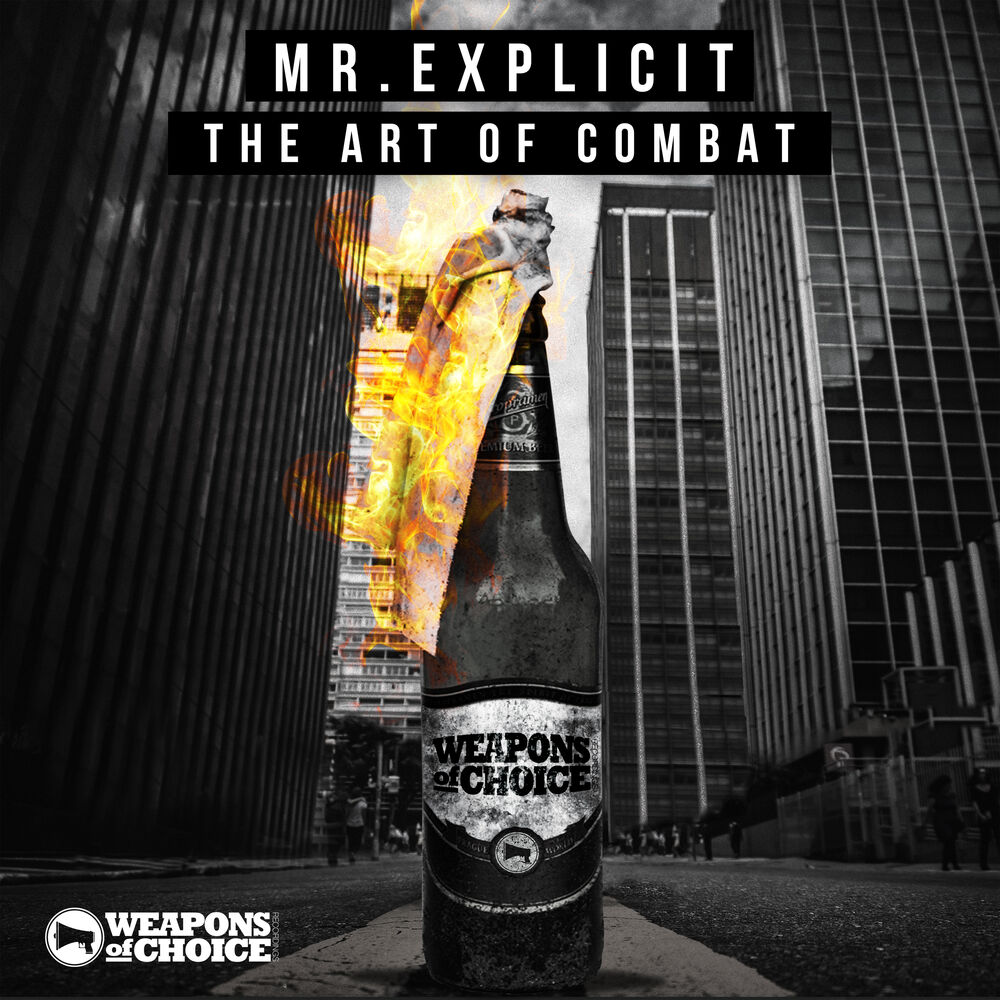 Picture of The Art Of Combat