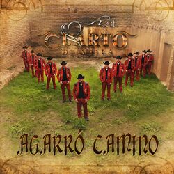 Cover of Agarró Camino