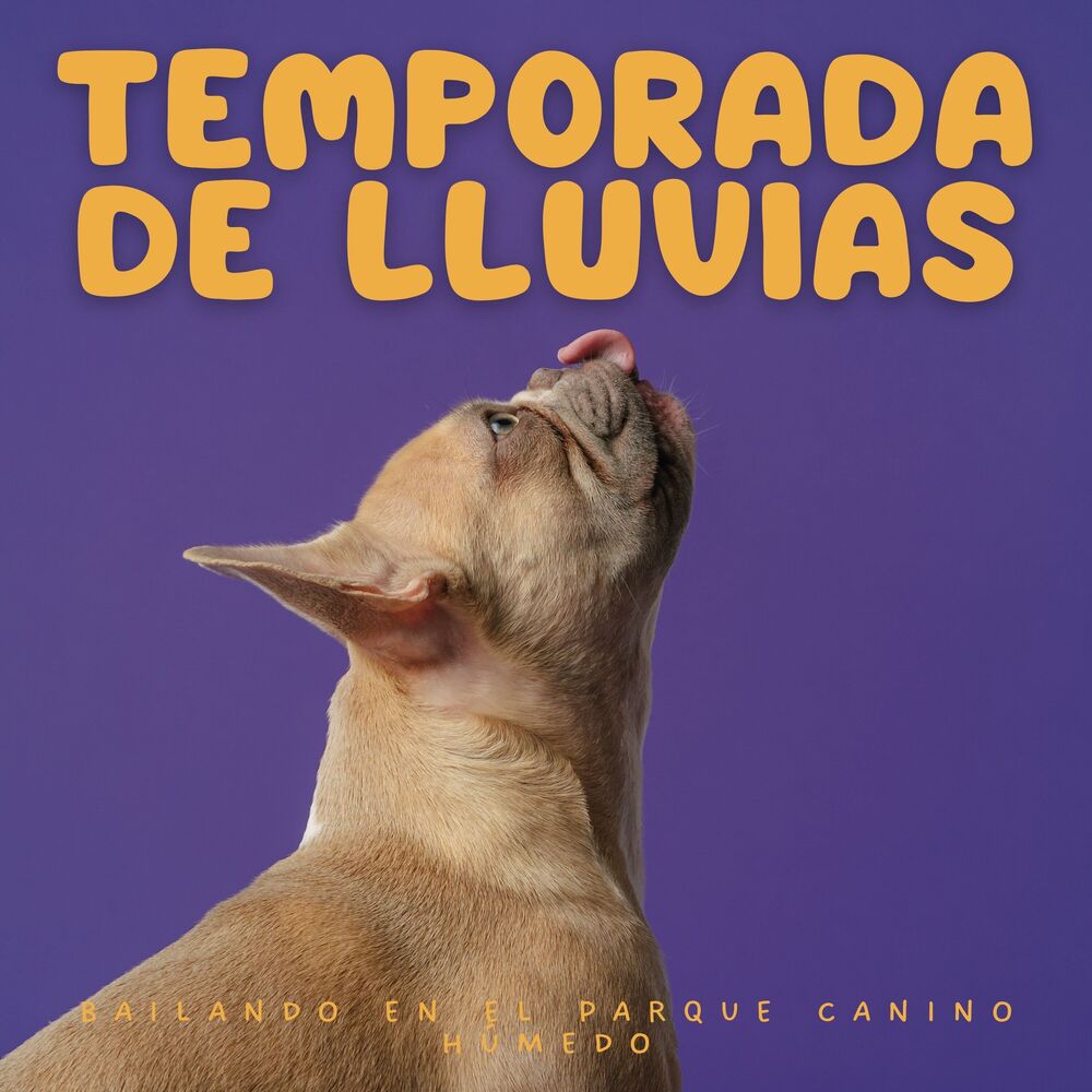 Picture of Temporada De Lluvias: Bailando En El Parque Canino Húmedo
