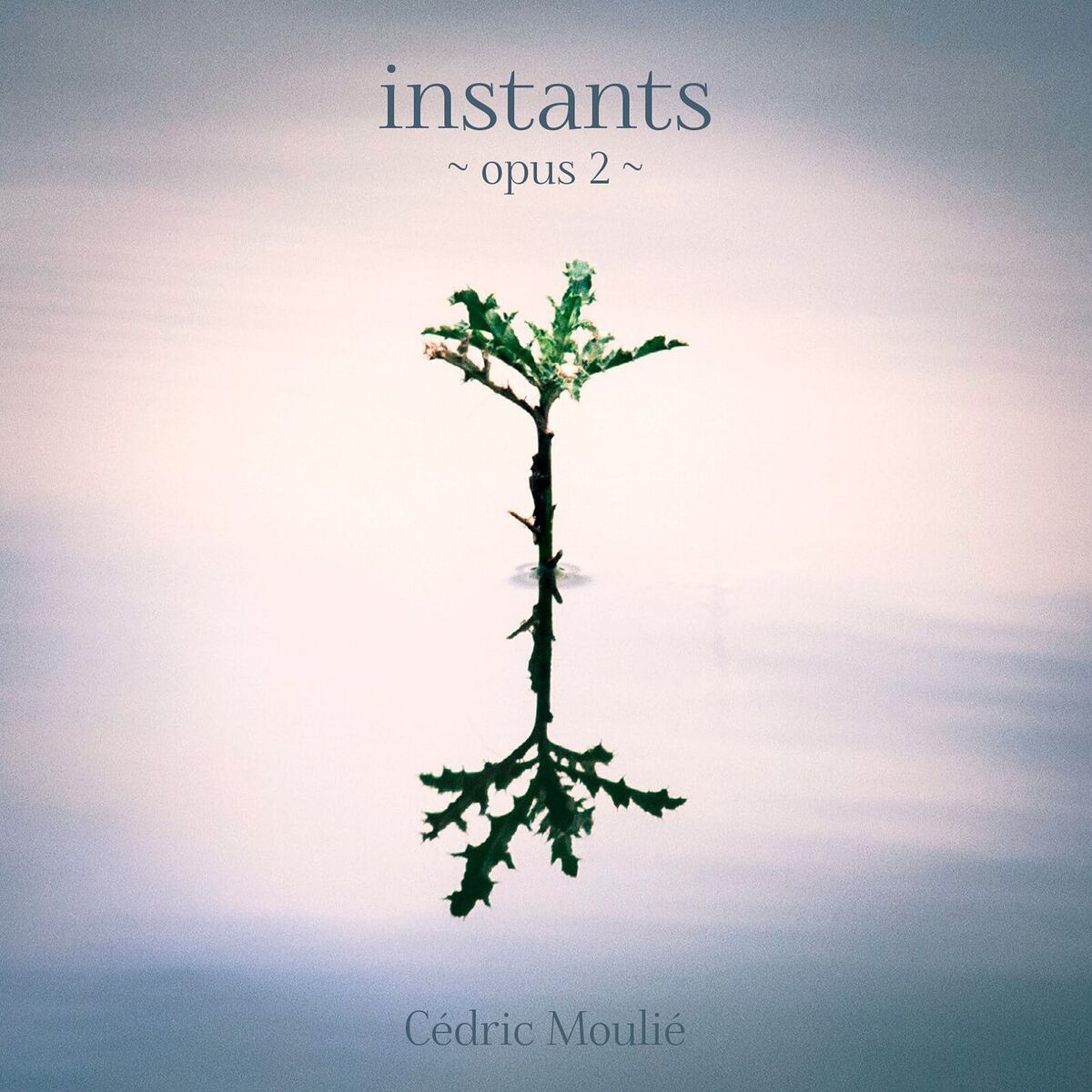 Album cover of Instants - Opus 2