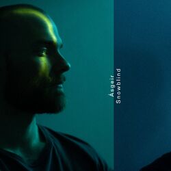 Cover of Snowblind