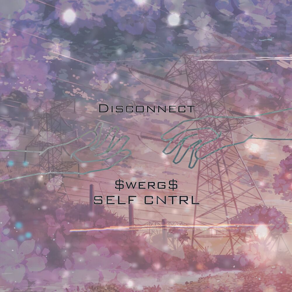 Picture of Disconnect