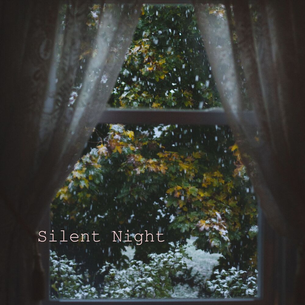 Picture of Silent Night