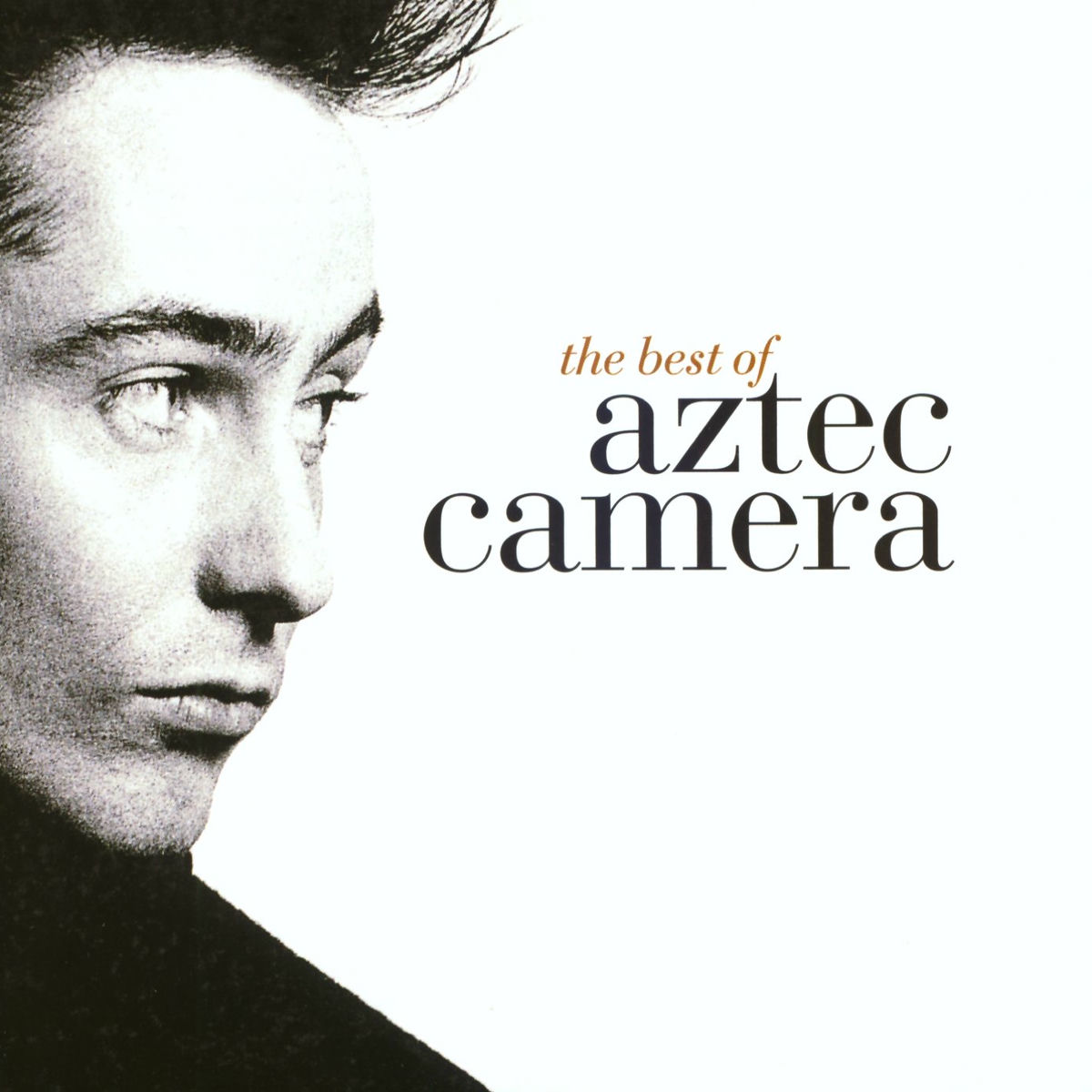 Album picture of The Best Of Aztec Camera