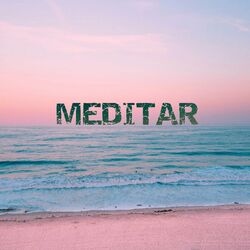 Cover of Meditar
