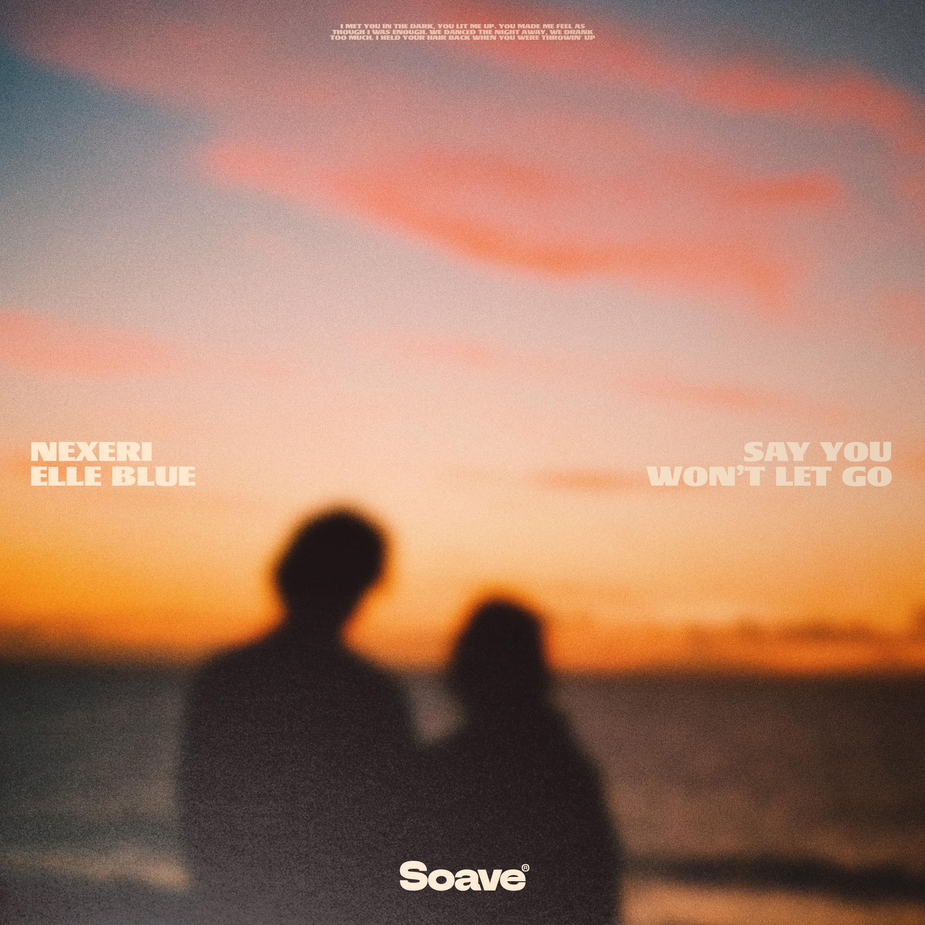 Album cover of Say You Won't Let Go