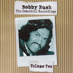 Cover of The Essential Recordings - Vol.2