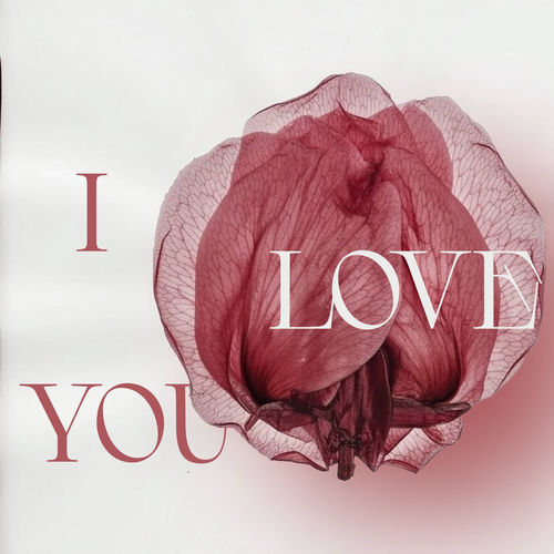 I love you