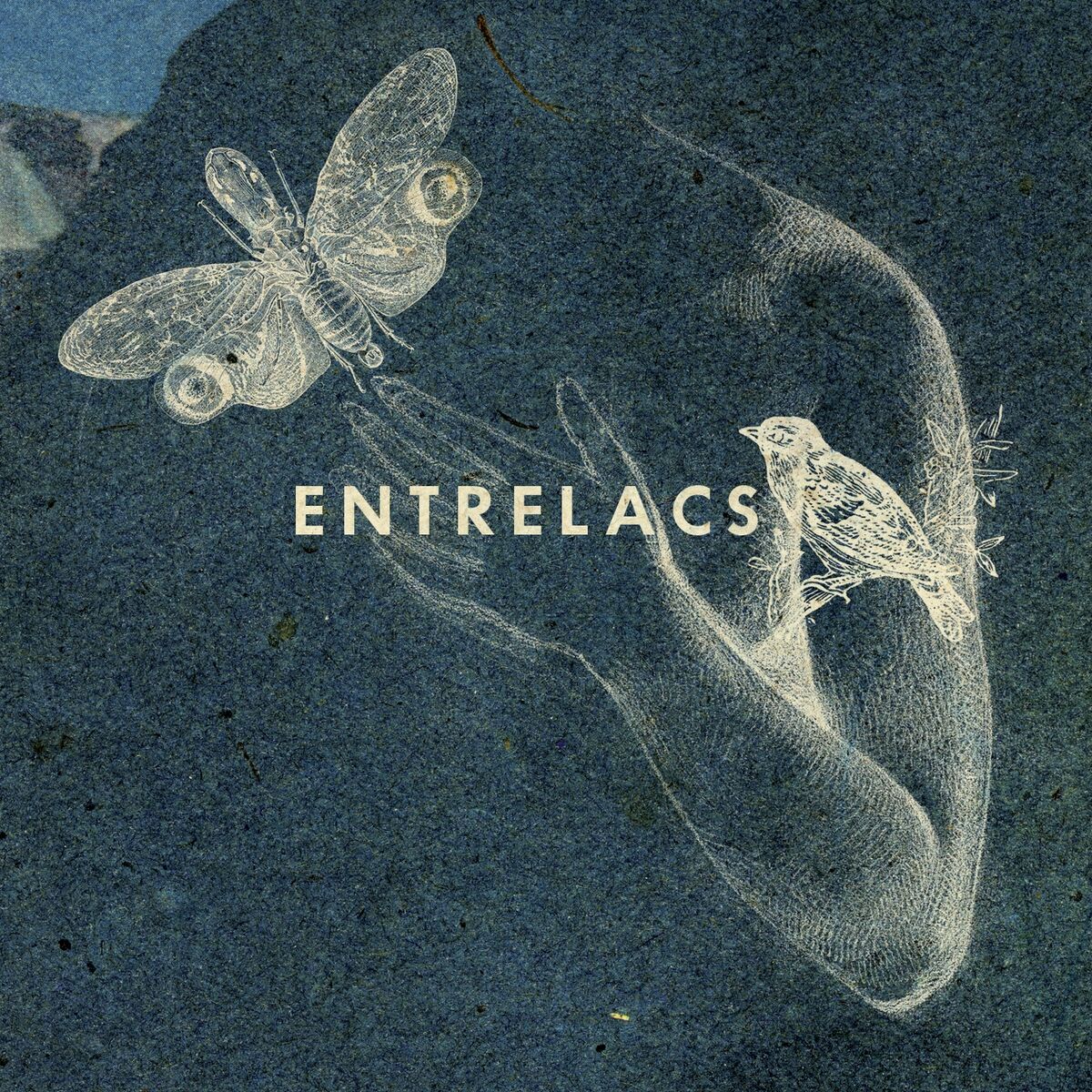 Album cover of Hope