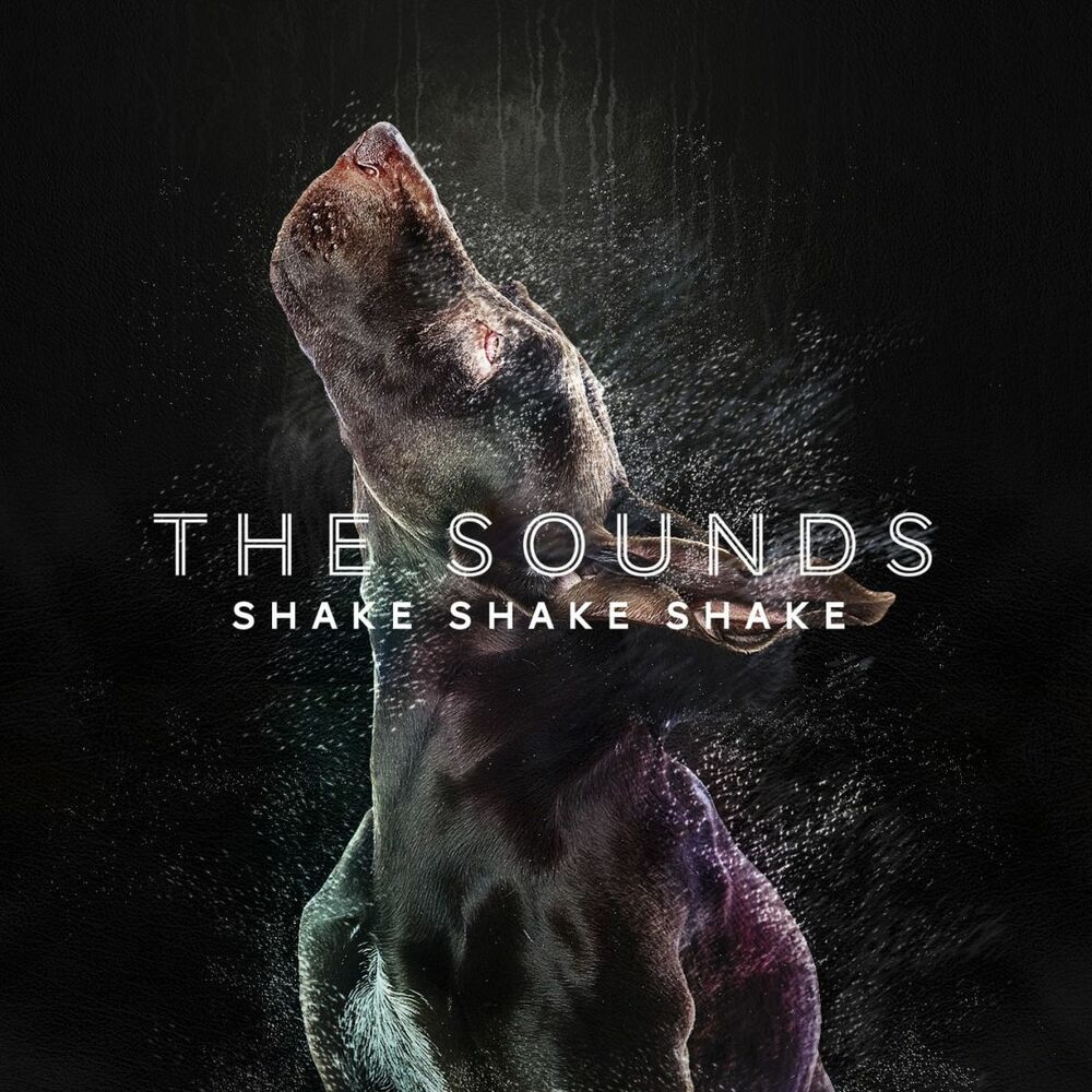 Picture of Shake Shake Shake