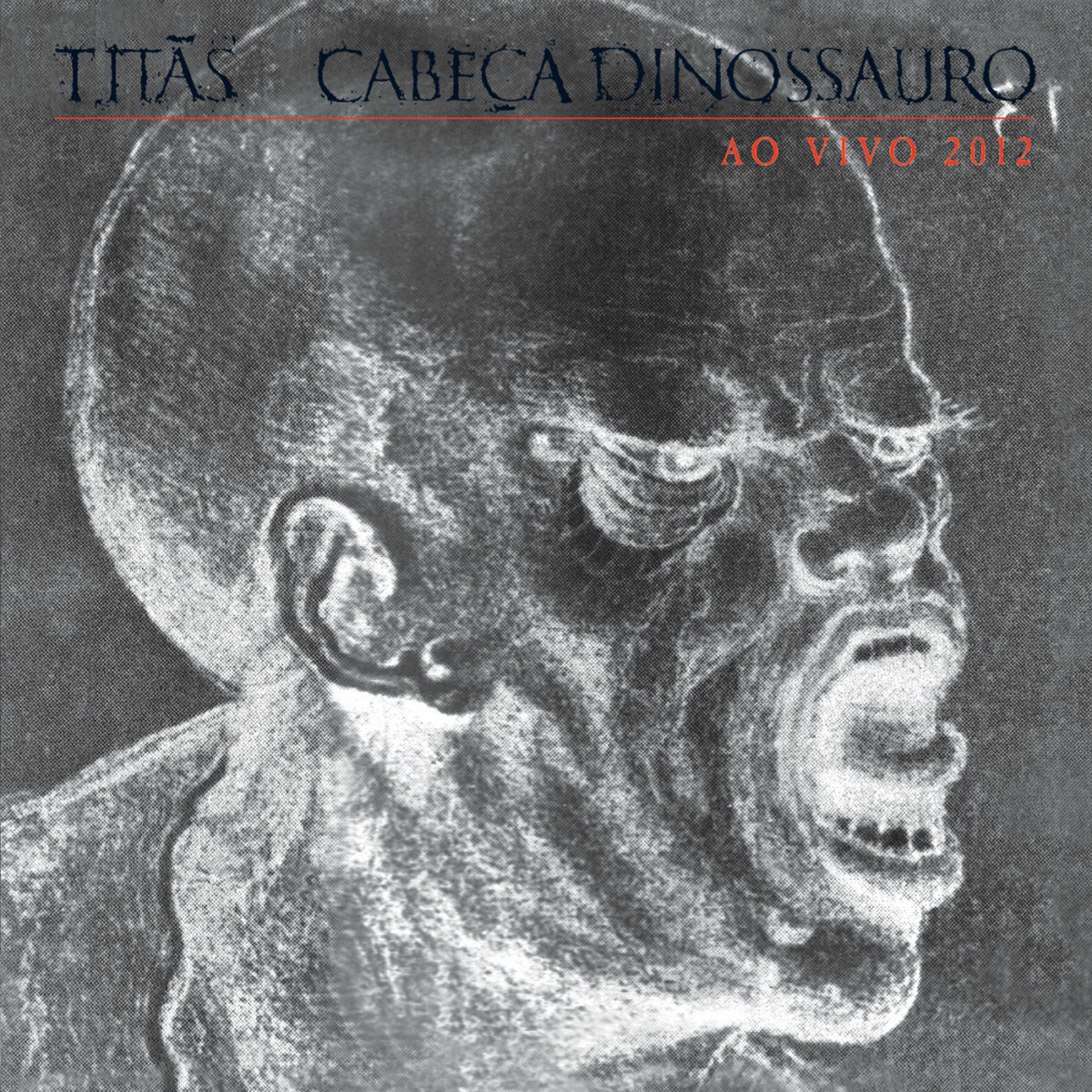 Album cover of Cabeça Dinossauro