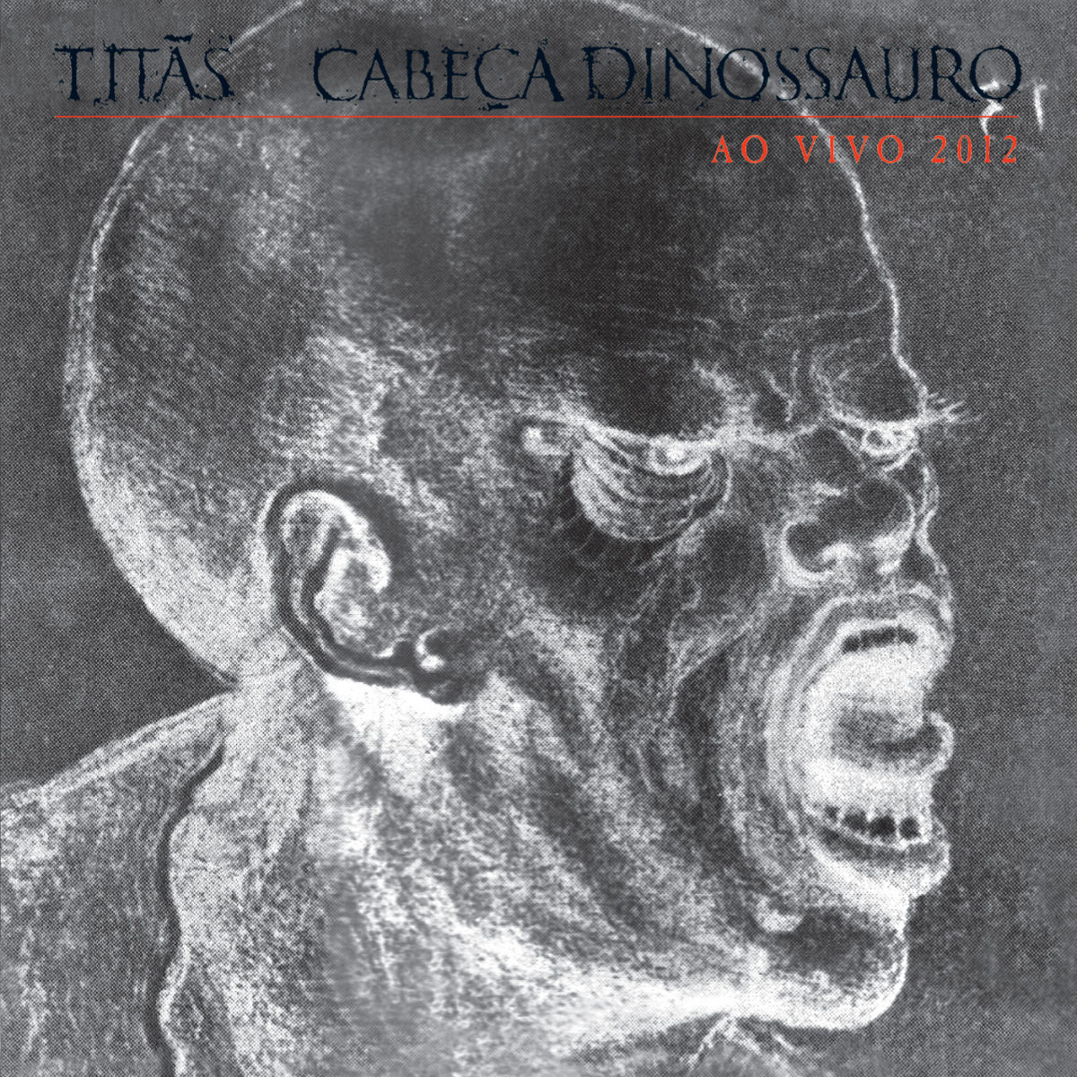 Album cover of Cabeça Dinossauro Ao Vivo