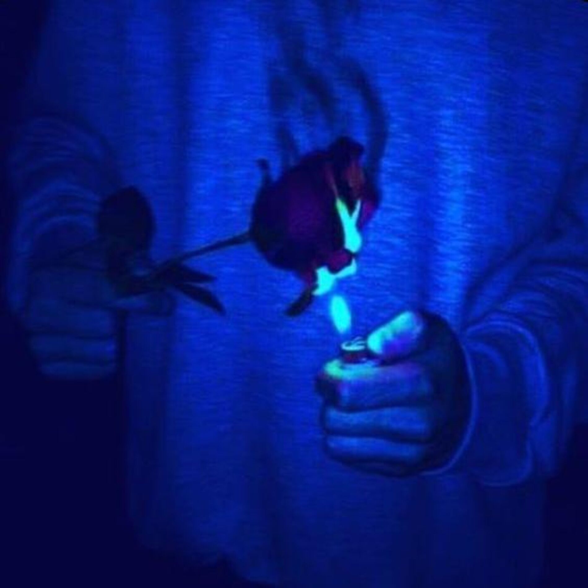 Album cover of Music to Watch Boys To x I Wanna Be Yours