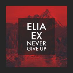 Cover of Never Give Up