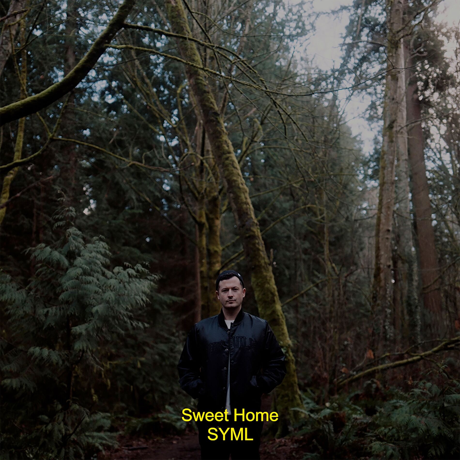 Album cover of Sweet Home