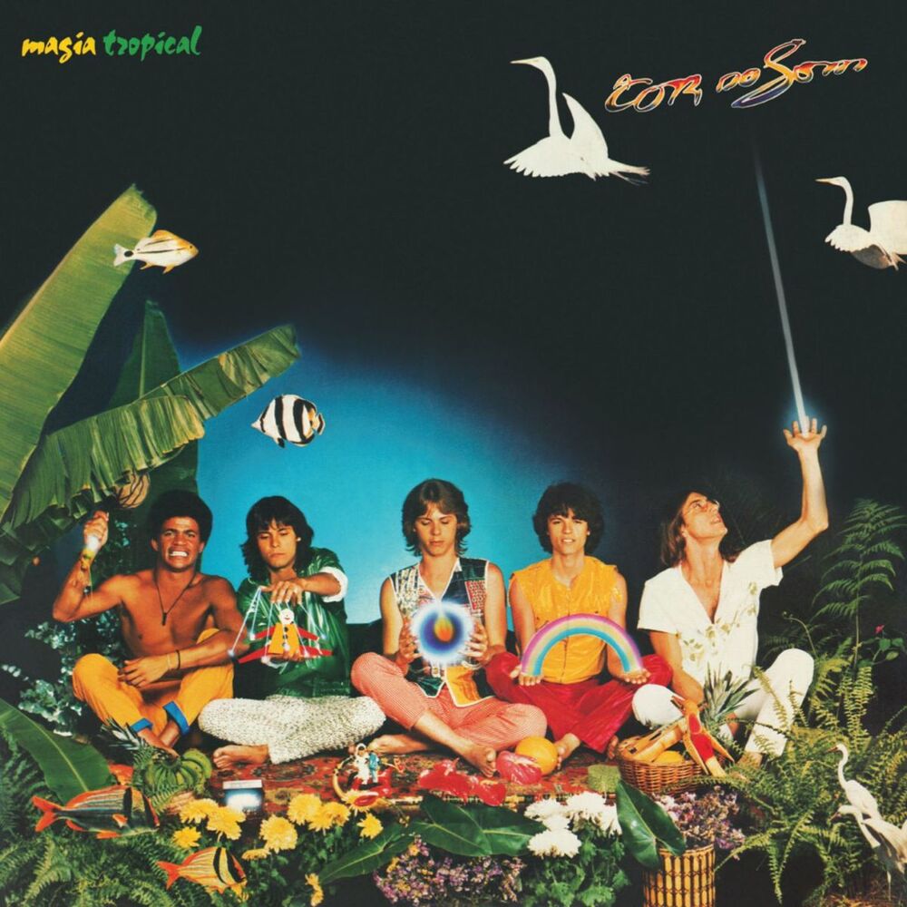 Picture of Magia Tropical