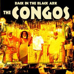 Cover of Back In The Black Ark