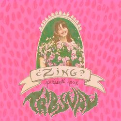 Cover of Zing