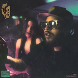 Cover of T.D