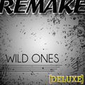 Wild Ones (Flo Rida feat. Sia Deluxe Remake)