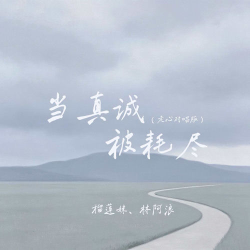 当真诚被耗尽 (走心对唱版)