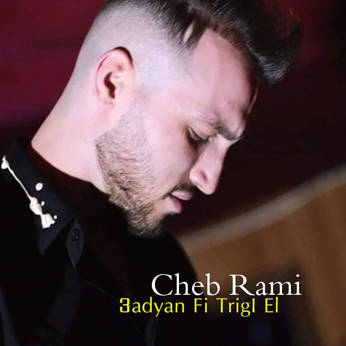 Album cover of 3adyan Fi Trigl El