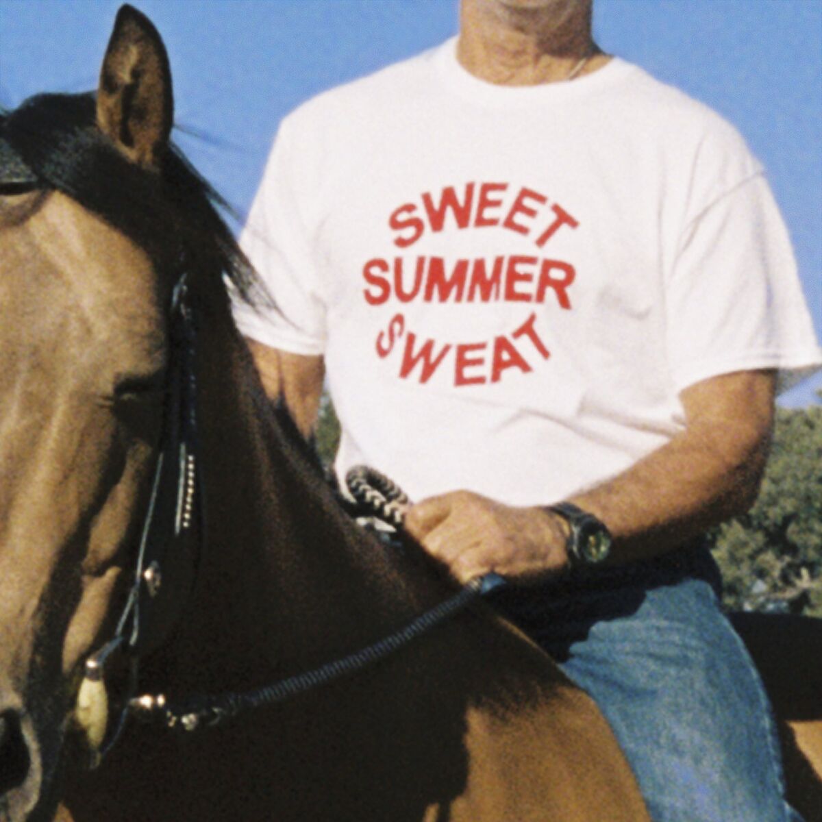 Album cover of Sweet Summer Sweat