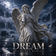 Dream (DJ Panda remix) by DJ Panda album cover