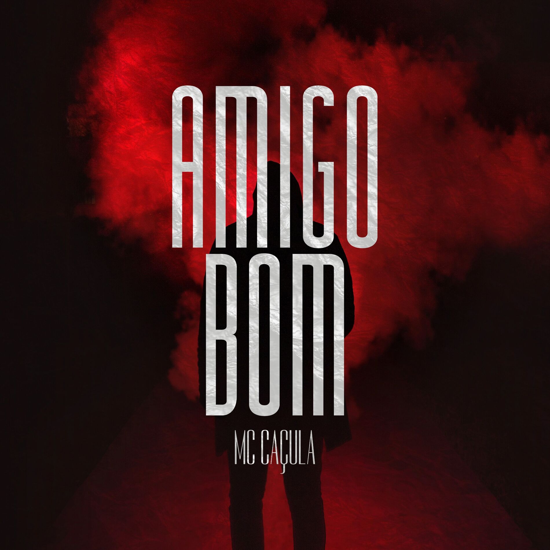 Album cover of Amigo Bom