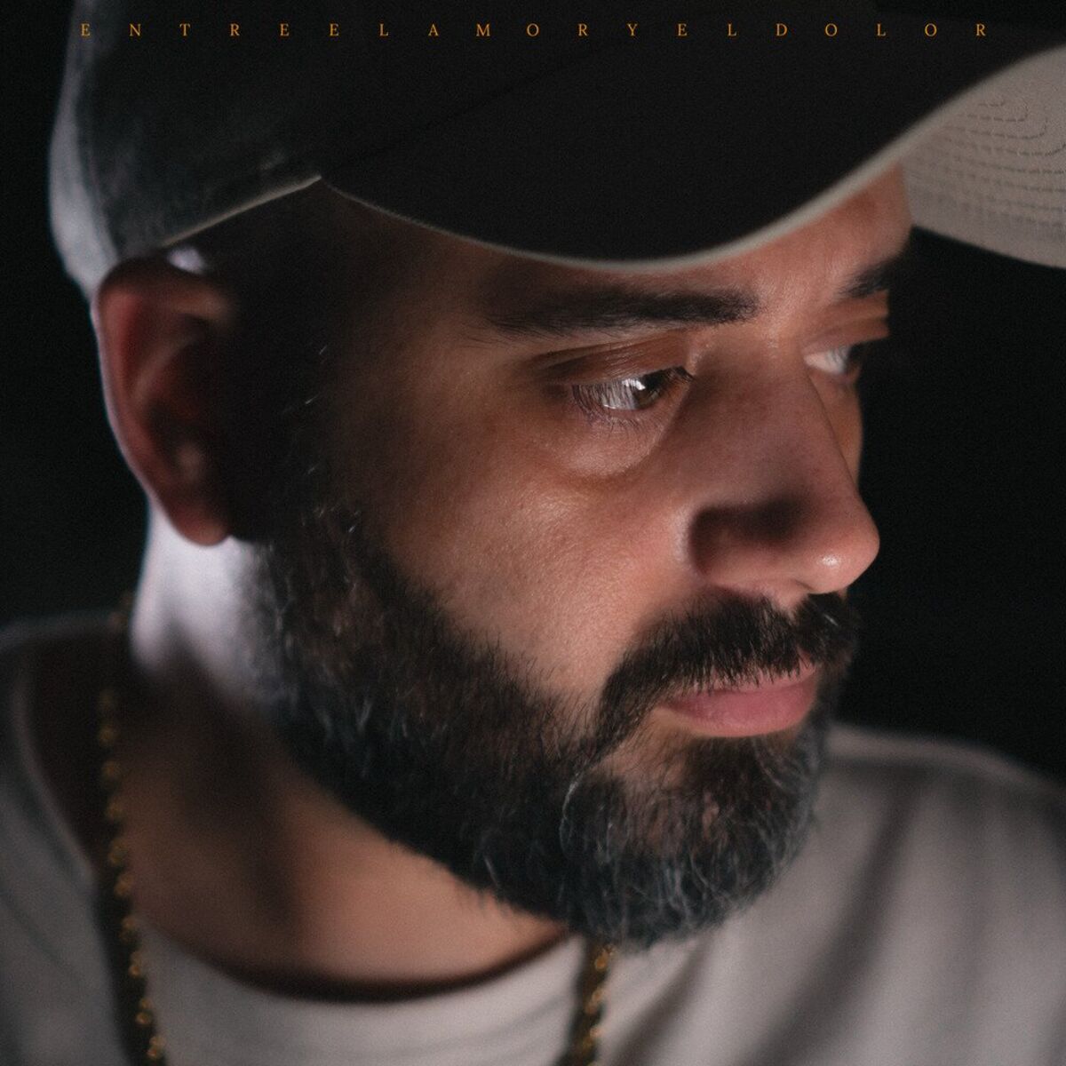Album cover of Entre el amor y el dolor