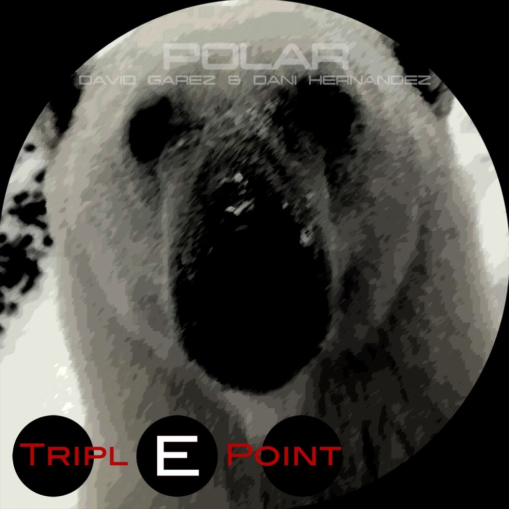 Picture of Polar