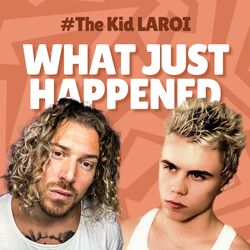 Cover of WHAT JUST HAPPENED