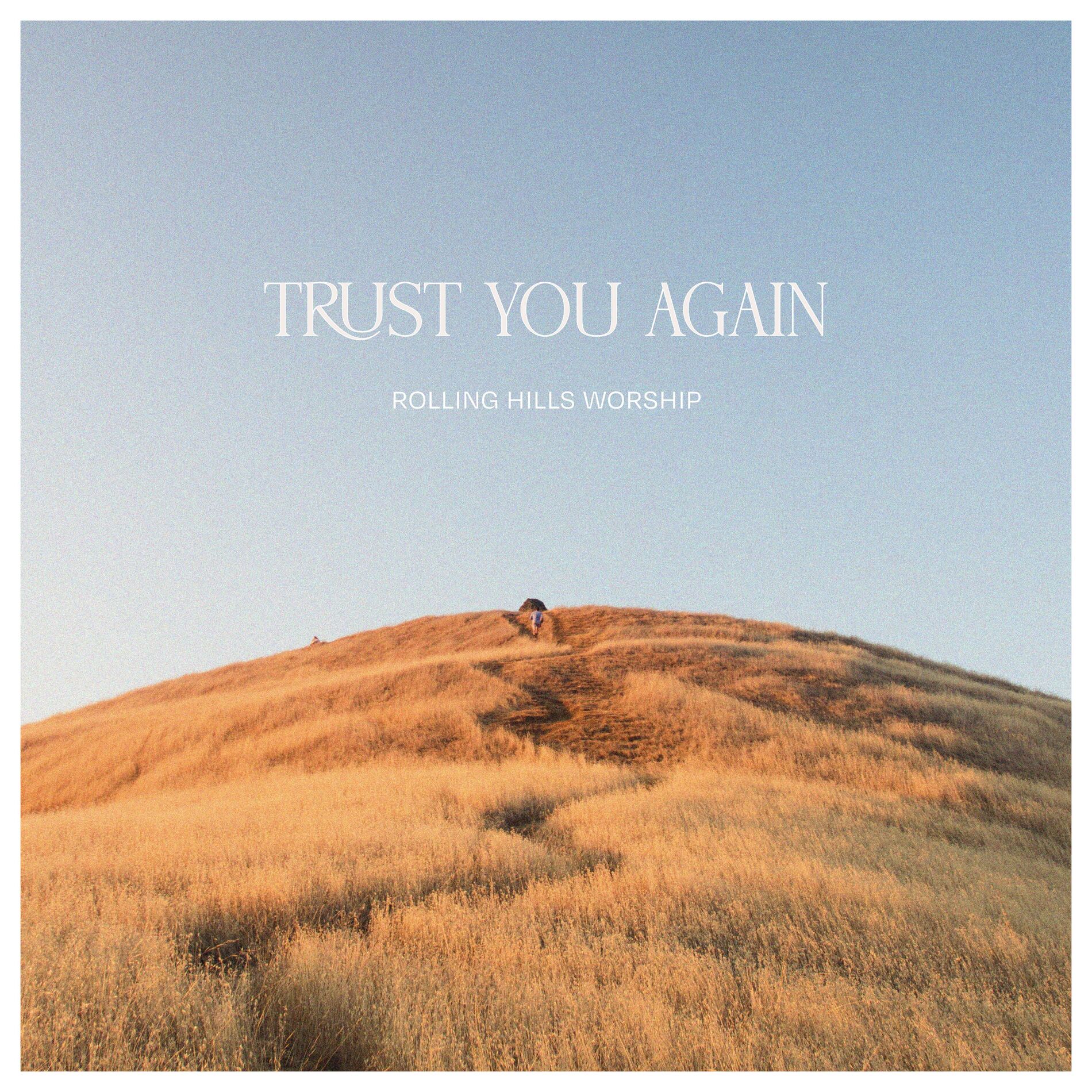 Album cover of Trust You Again