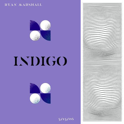 Indigo sleeve