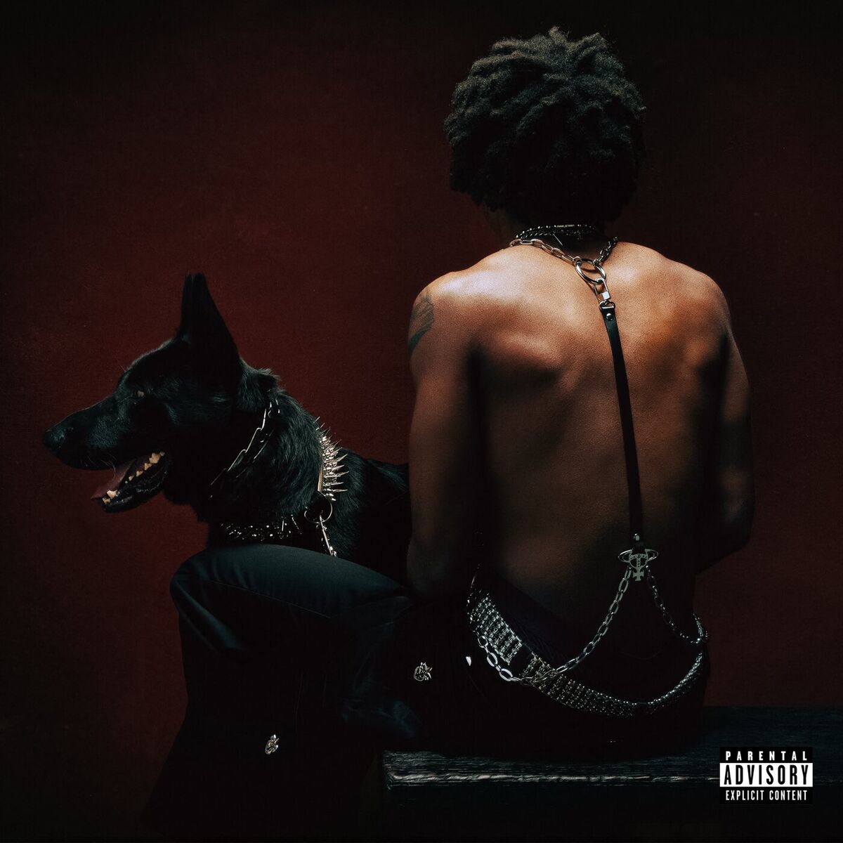 Album cover of KING TUT