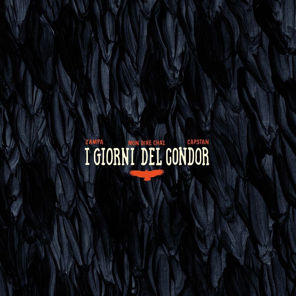 Picture of I giorni del Condor