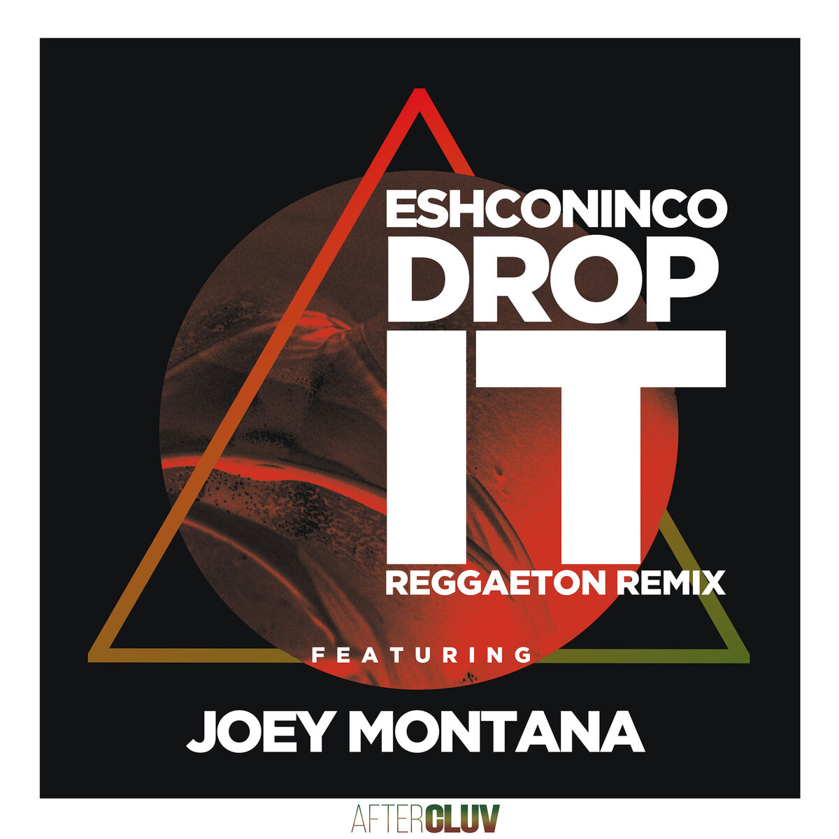 Album cover of Drop It (Reggaeton Remix)