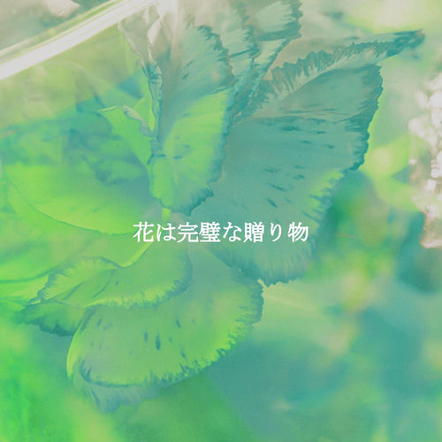 花は完璧な贈り物