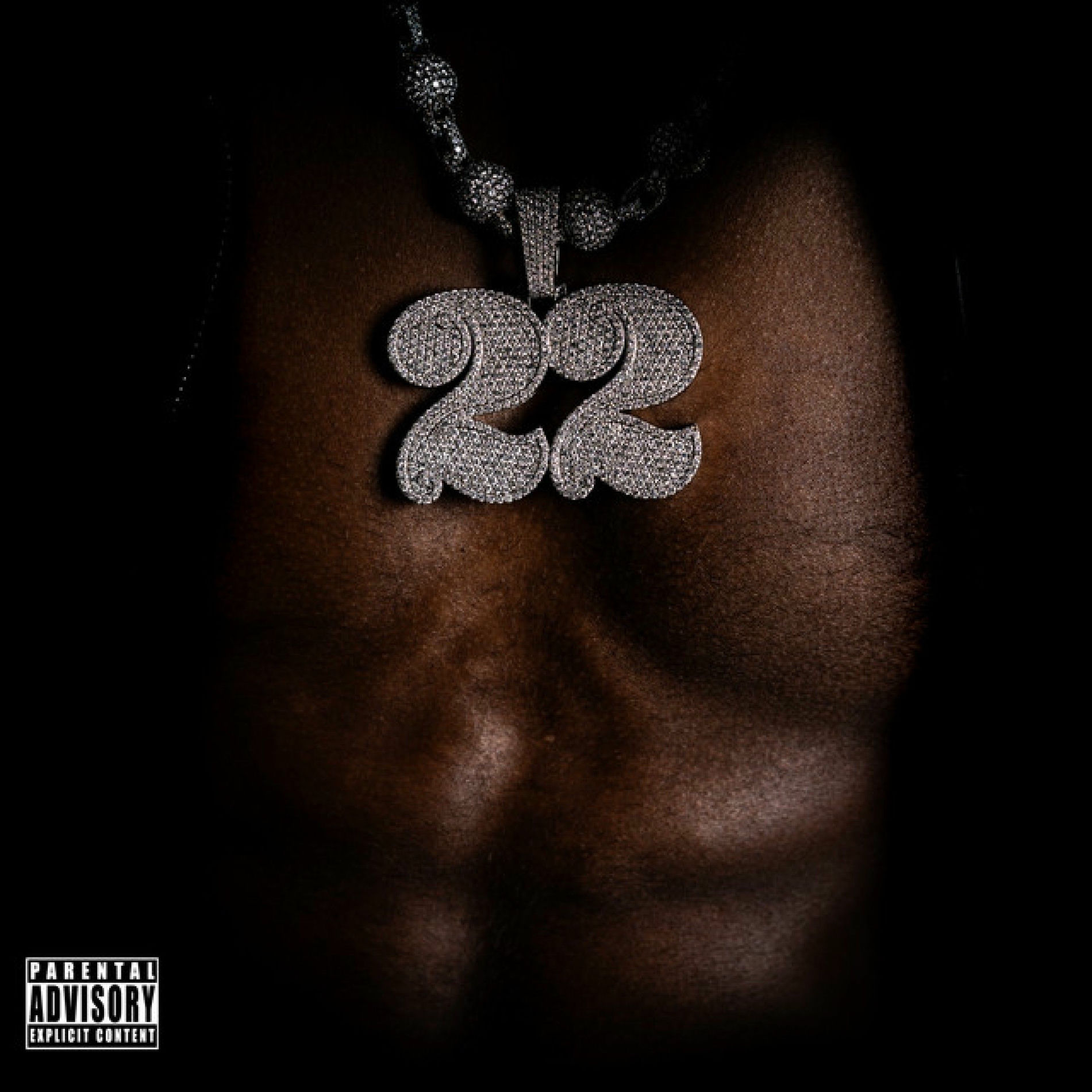 Album cover of CULTURE VULTURES