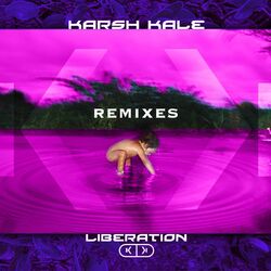 Cover of Liberation Remixes