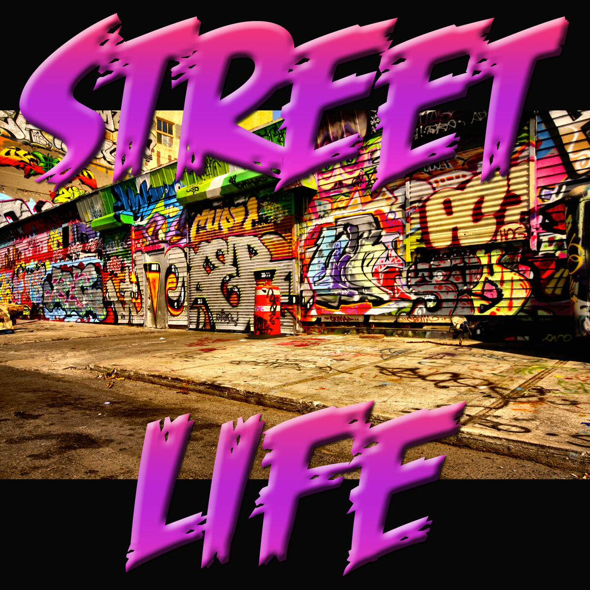 Album cover of Street Life