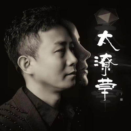 太潦草 (DJ默涵版)