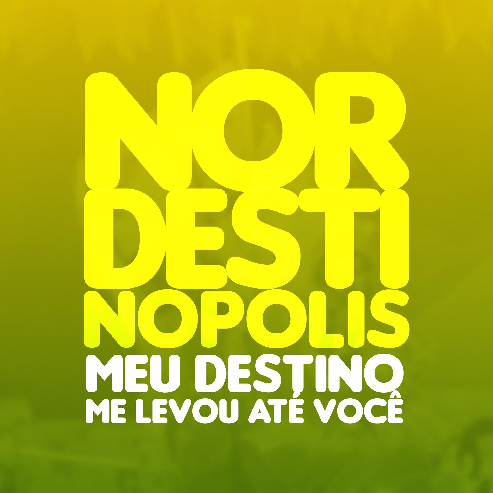Album cover of Nordestinopolis / Terra Natal / Pérola Negra